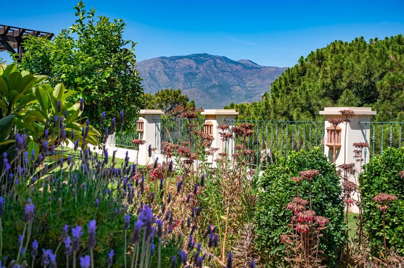 29680 Estepona, Málaga, Spain, Estepona, Andalusia, Spain. - Photo 58