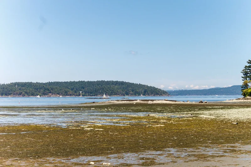 2365 Lovell Avenue, Sidney, BC V8L 2J5, Sidney, British Columbia, Canada. - Photo 34
