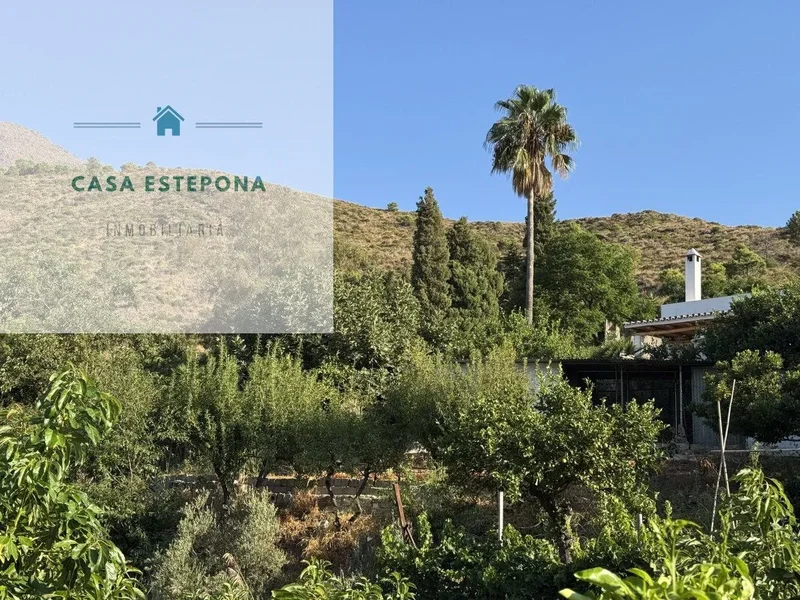 Camino Polvitos,  Estepona,  Altos de Estepona, Estepona, Andalusia, Spain. - Photo 6