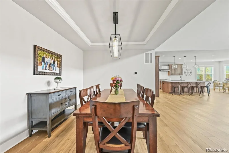 5411 Edenborn Way, Castle Rock, Colorado, United States. - Photo 12