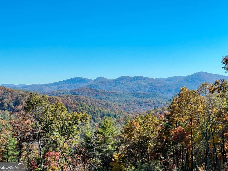 80.62 AC Morganton Hwy, Suches, GA, 30572, USA, Suches, Georgia, United States. - Photo 17