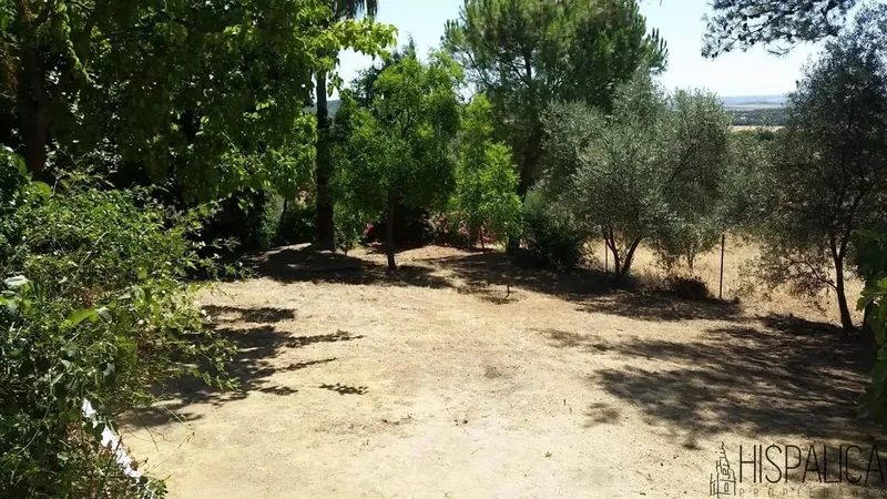 Carretera Peñaflor, 41440, Lora del Río, Sevilla, Lora del Río, Penaflor, Andalusia, Spain. - Photo 23