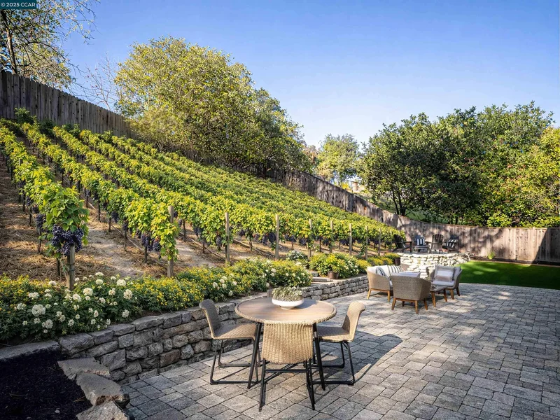 320 Miranda Ln, Alamo, California, United States. - Photo 46