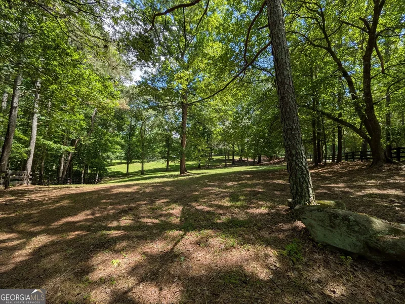 Ball Ground, Georgia, United States. - Photo 22
