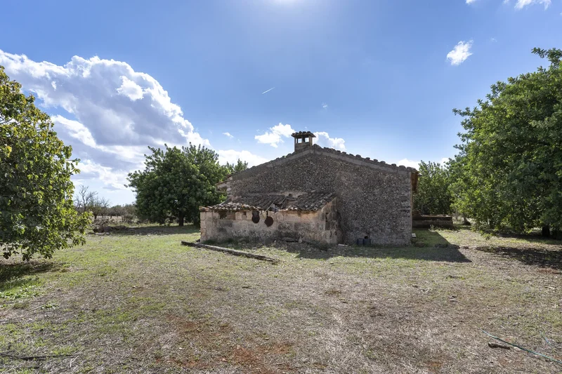 Camí de sa Font Ufana, Binissalem, Balearic Islands, Spain. - Photo 5