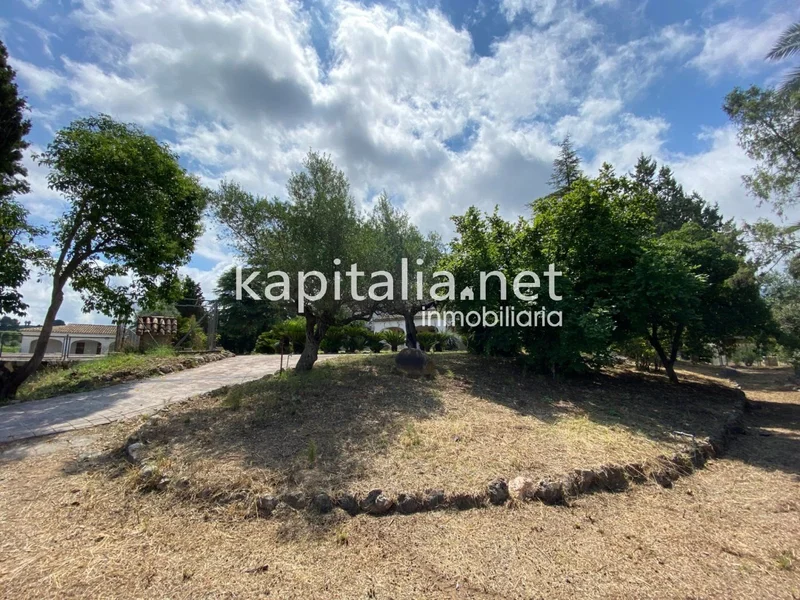 Albaida, Albaida, VALENCIA, Albaida, Albaida, Valencian Community, Spain. - Photo 26