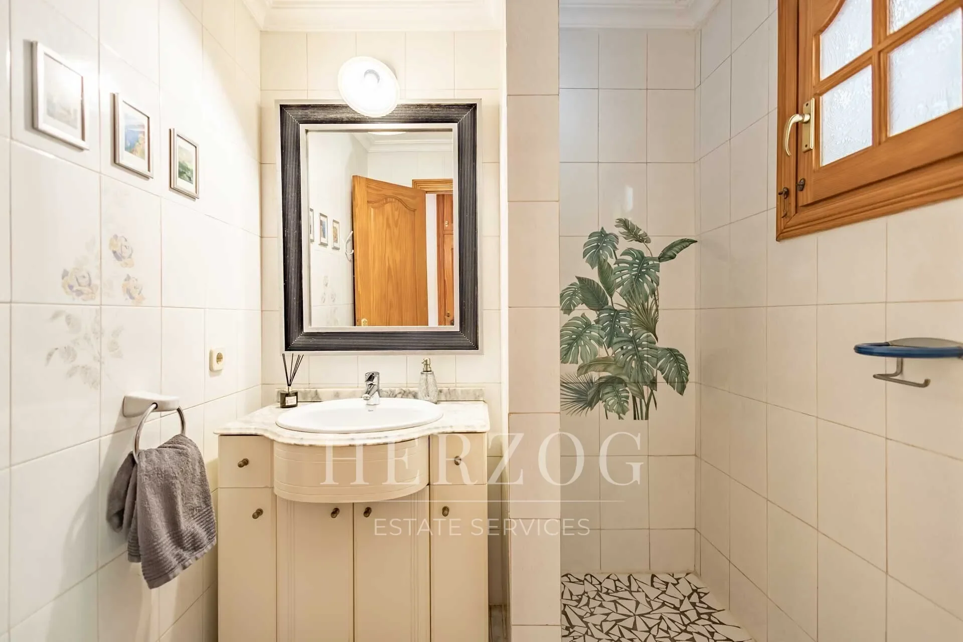 Carrer llimonera, Cala Fornells, Calvia, Balearic Islands. - Photo 17