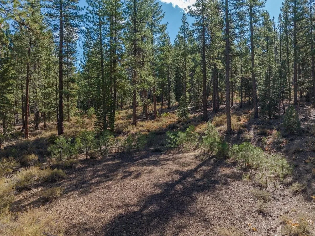 10719 Regency Circle, Truckee, California, United States. - Photo 4