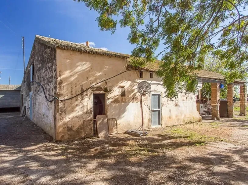 Baleares, Marratxi, Balearic Islands, Spain. - Photo 6