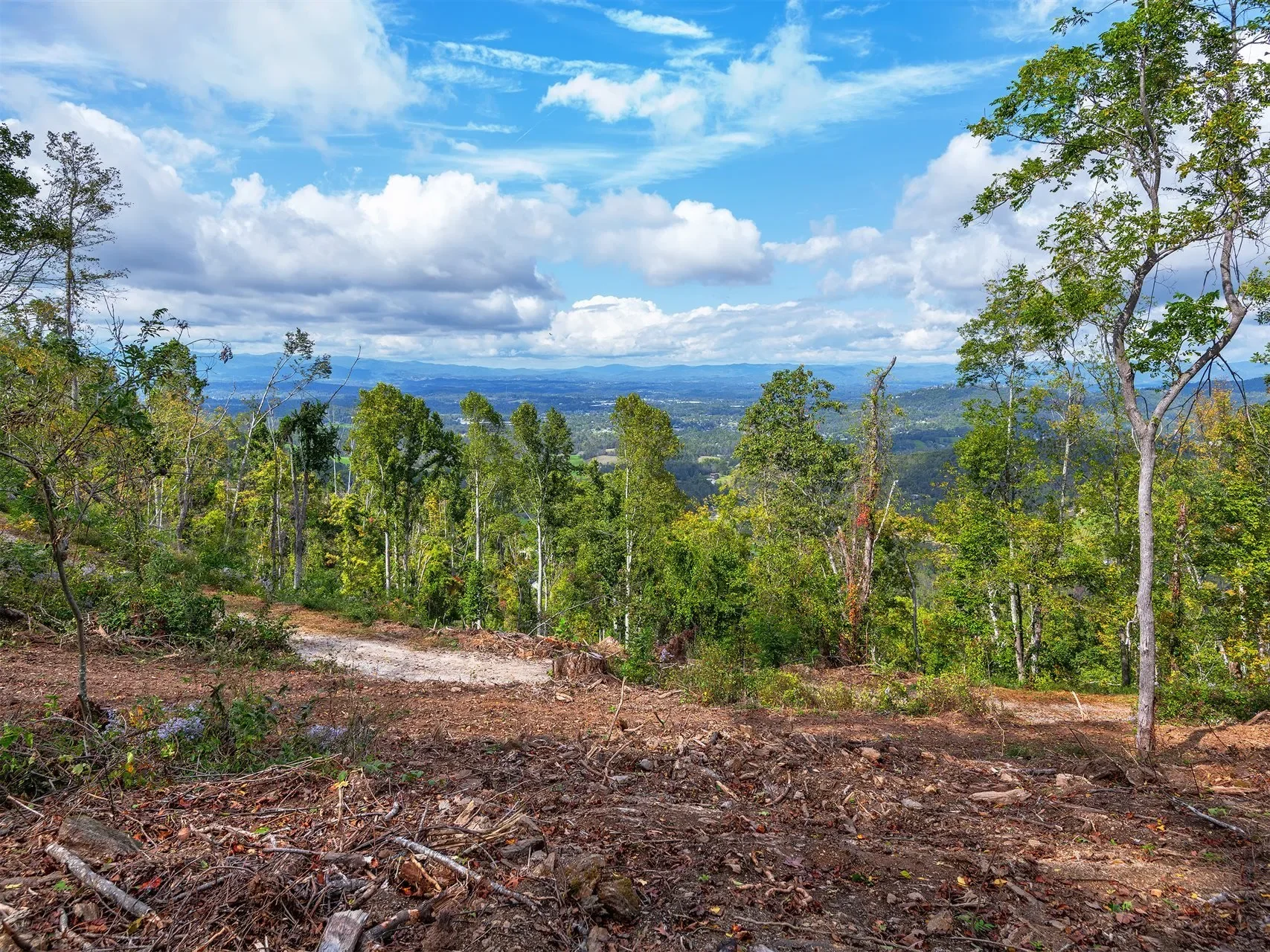 566 Elk Mountain Scenic, Asheville, NC, 28804, USA, Weaverville, North Carolina, United States. - Photo 1