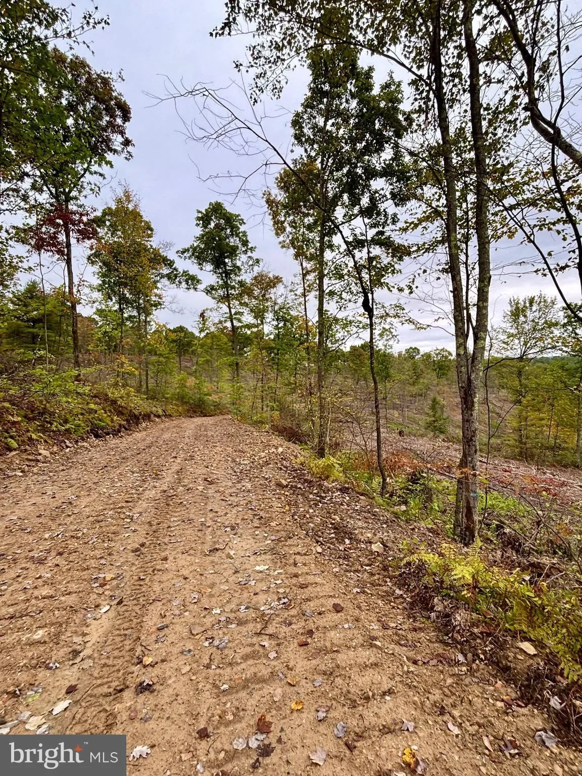 31-36 BEECH CREEK MOUNTAIN RD ROAD, BEECH CREEK, PA 16822, Beech Creek, Pennsylvania, United States. - Photo 23