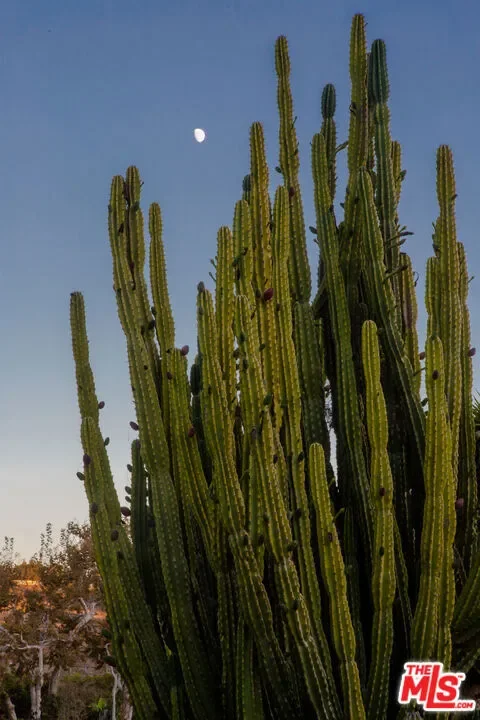 5949 Bonsall Drive, Malibu, California, United States. - Photo 6