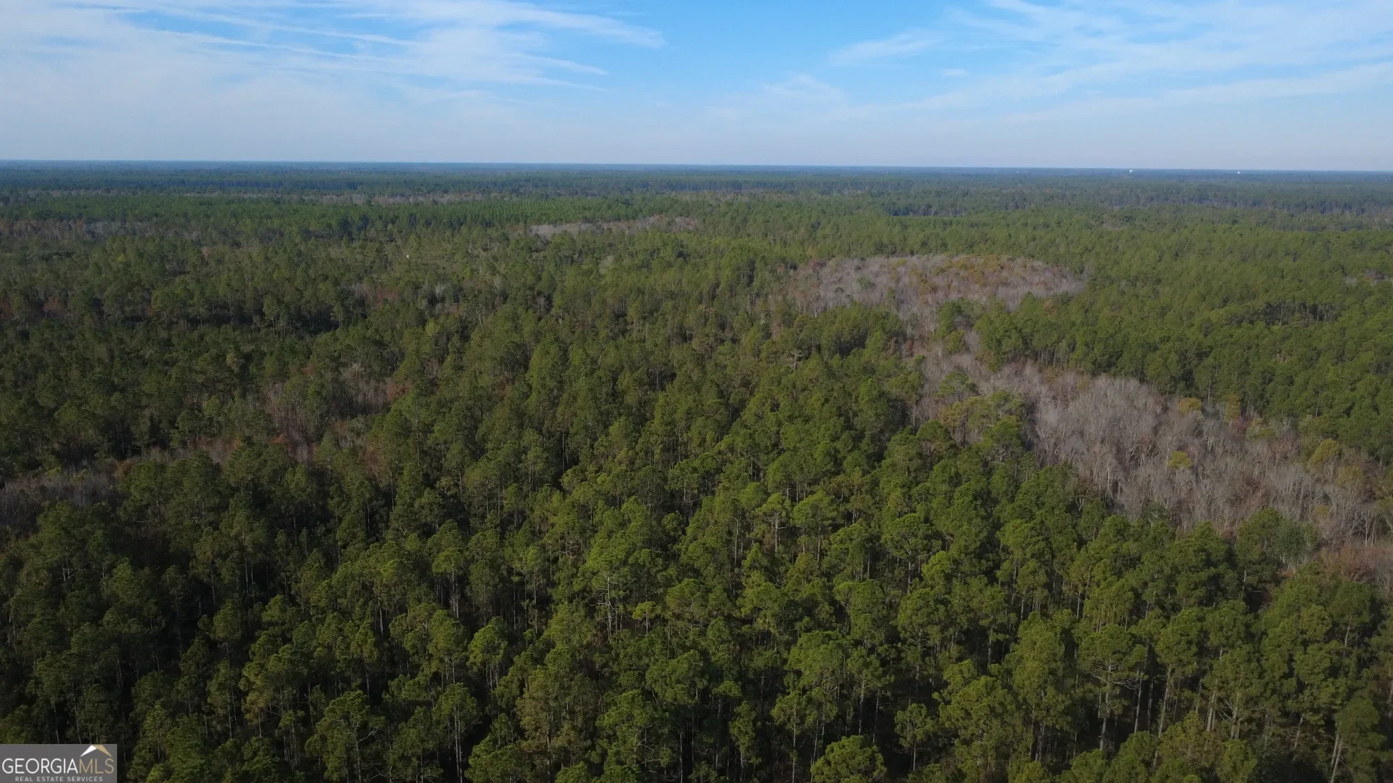 0 Fargo Highway, Homerville, GA 31634, Homerville, Georgia, United States. - Photo 9