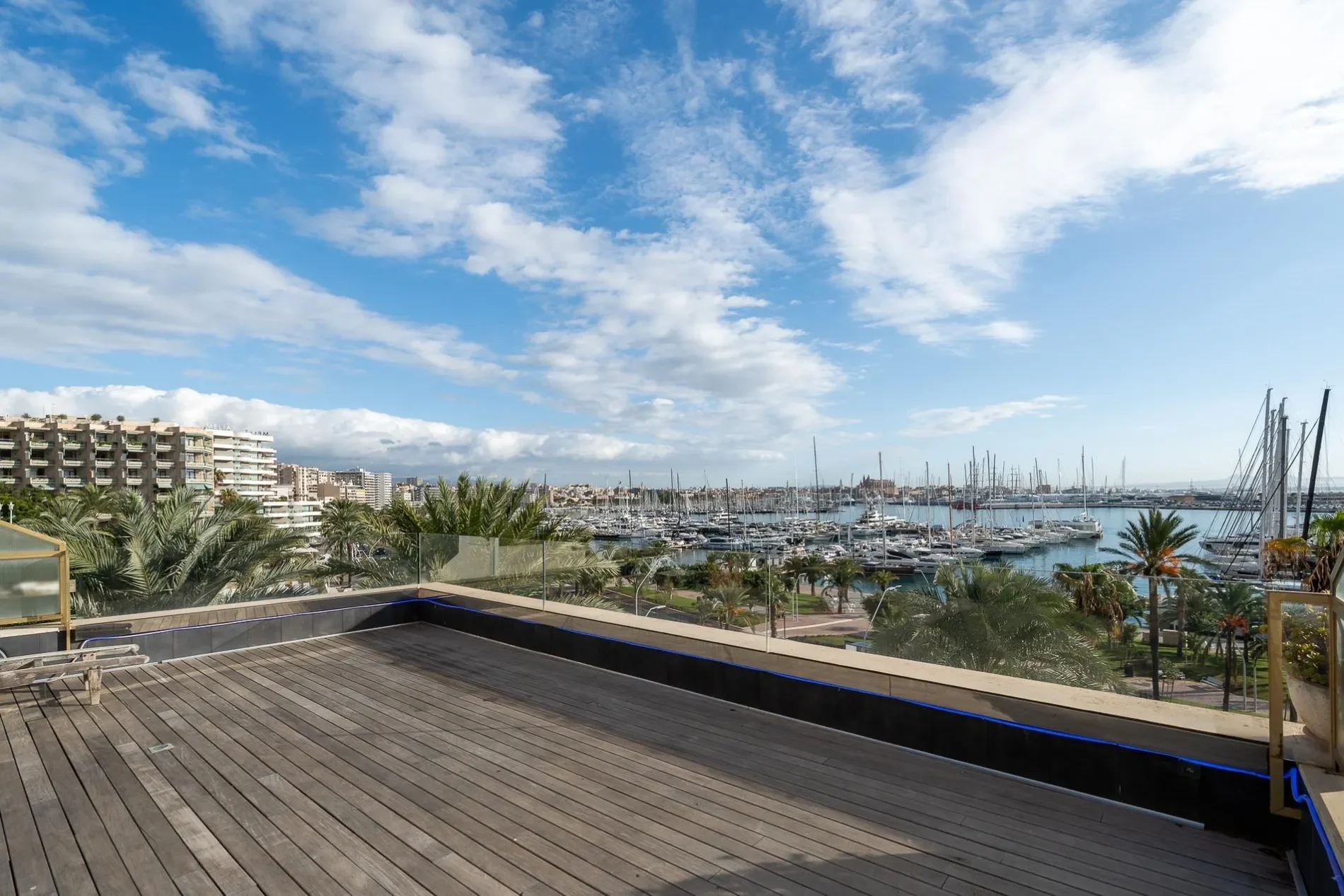 El Terreno, Palma de Mallorca, BALEARES, Palma de Mallorca, Palma, Balearic Islands, Spain. - Photo 6