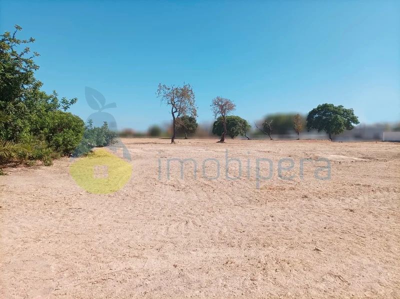 Armacao de Pera, Algarve, Portugal. - Photo 10