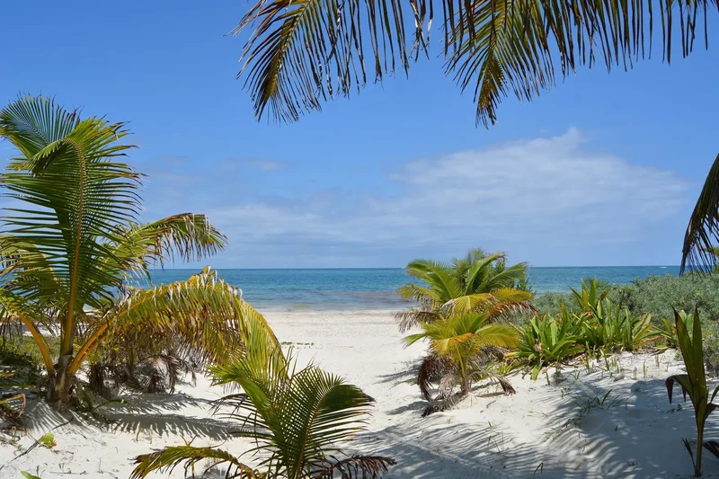 SEASIDE PARADISE Camino Tulum-Boca Paila, Lote 108 Fracción 3 del predio rústico denominado "Paso de Juana", fracción 1, de la fracción 6, Tulum, ROO, Boca Paila, Quintana Roo, Mexico. - Photo 6
