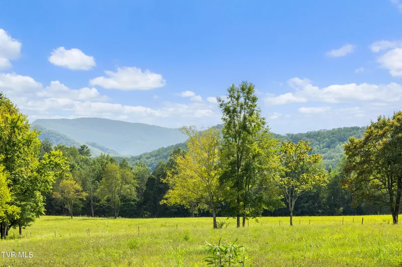 131 Brown Drive, Chuckey, TN 37641, Chuckey, Tennessee, United States. - Photo 71