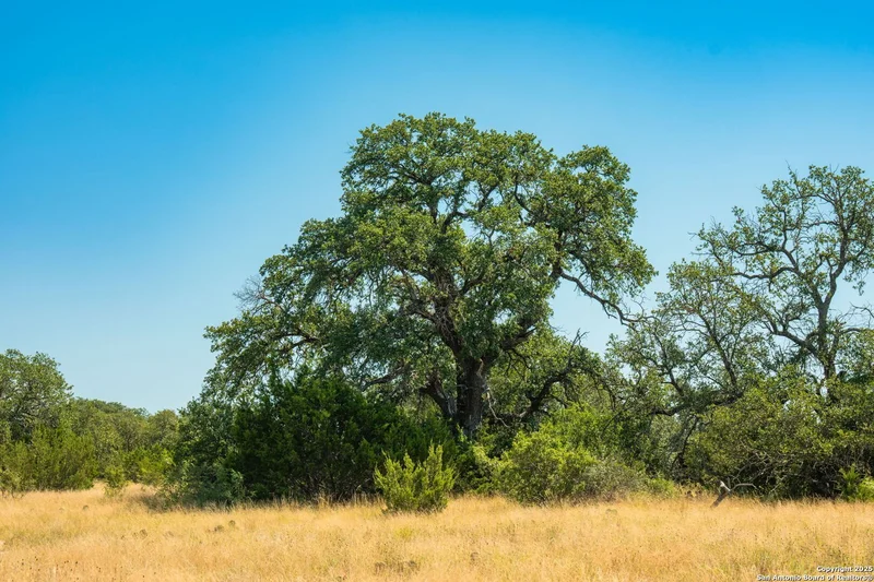 1075 Private Road 3523, Roosevelt, TX 76874, Roosevelt, Texas, United States. - Photo 16