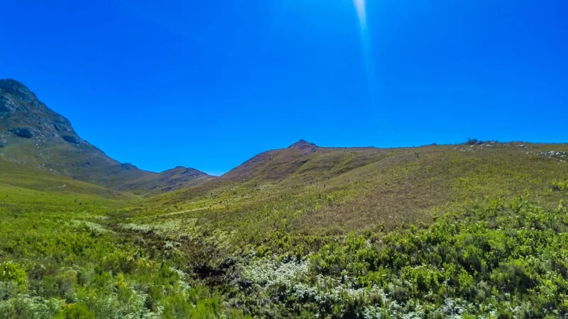 George, Western Cape, South Africa. - Photo 44
