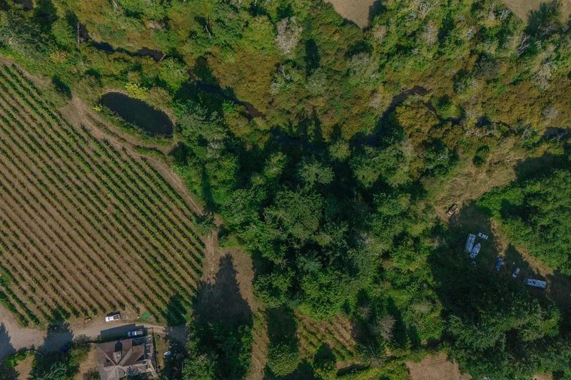 2300 East Wellington Road, Nanaimo, BC V9R6V7, Nanaimo, British Columbia, Canada. - Photo 5