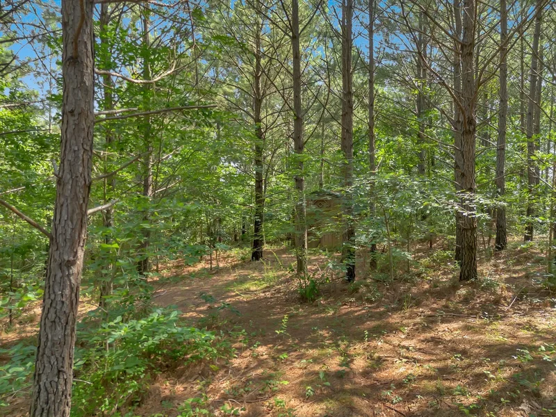 3534 Summertown Hwy, Ethridge, Tennessee, United States. - Photo 46
