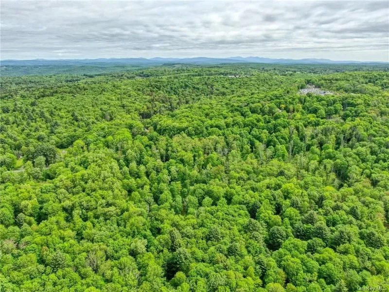 401 Harris Road, Monticello, NY 12701, Monticello, New York, United States. - Photo 9