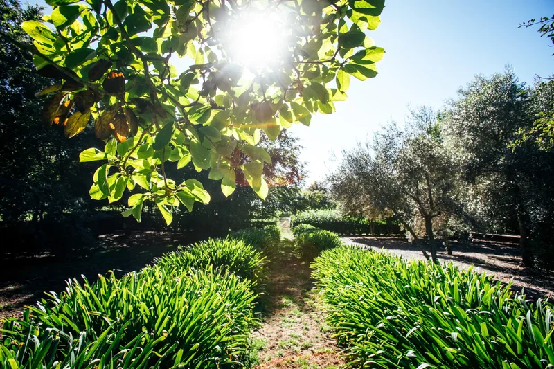 364 Myra Vale Road, Wildes Meadow, NSW, Wildes Meadow, New South Wales, Australia. - Photo 18
