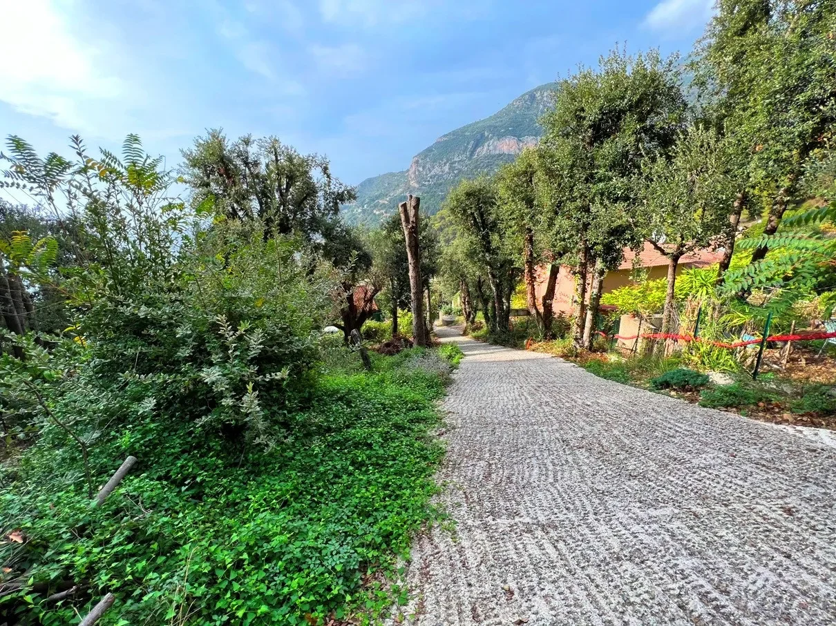Roquebrune-Cap-Martin, Provence-Alpes-Côte d'Azur, France. - Photo 9