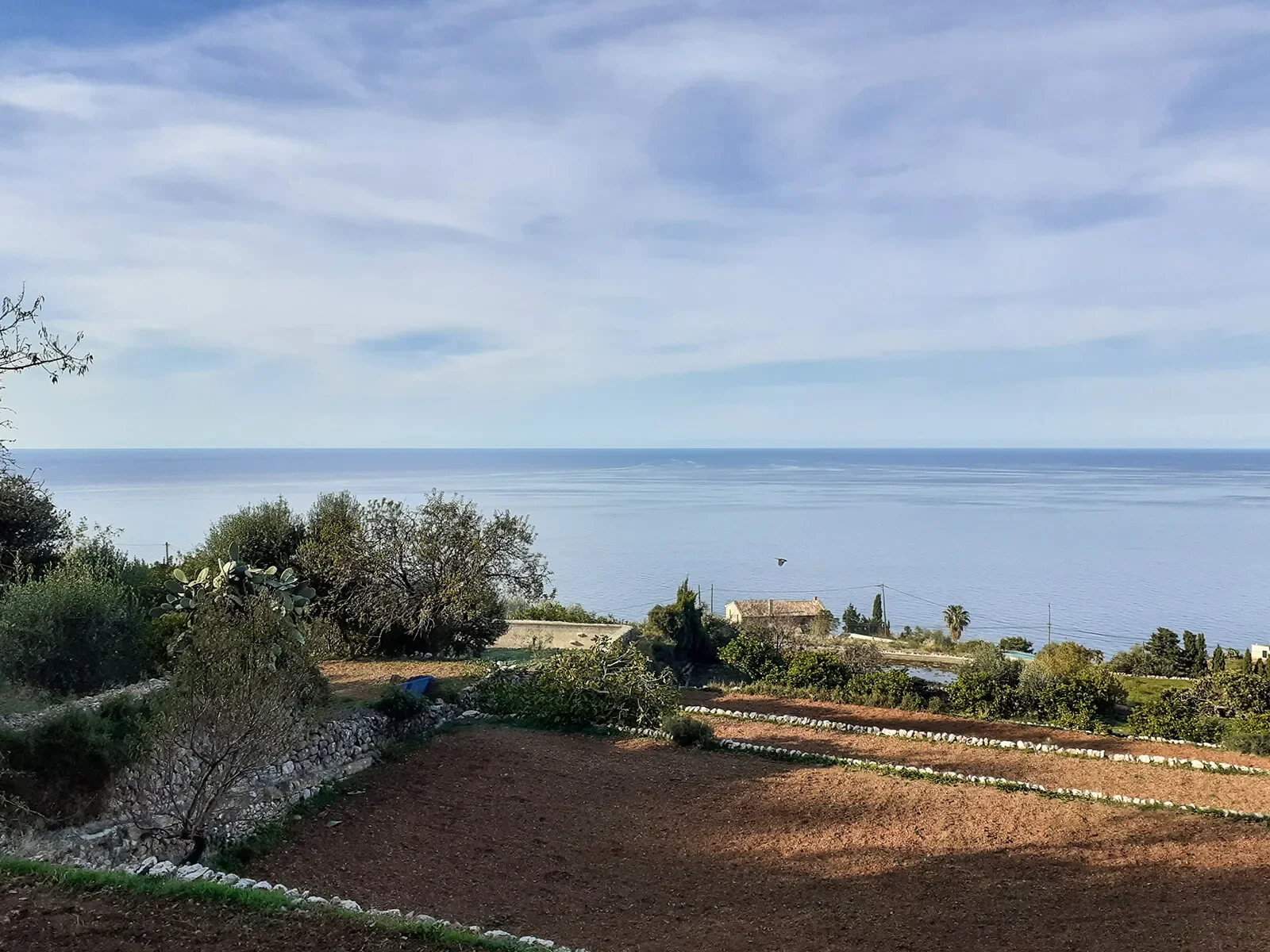 Banyalbufar, Mallorca, Banyalbufar, Banyalbufar, Balearic Islands, Spain. - Photo 13