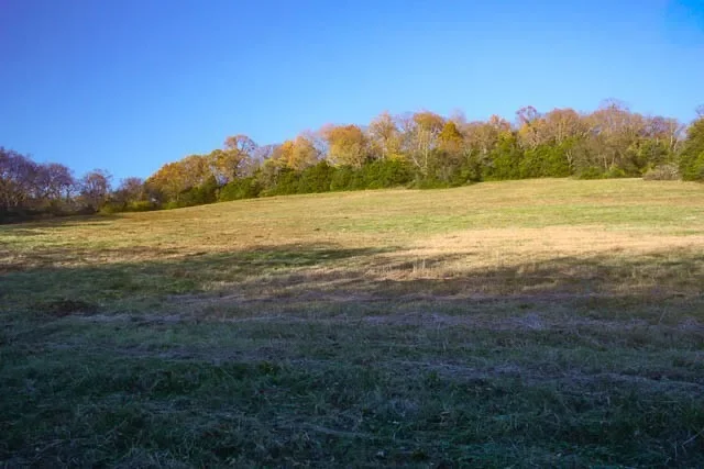 0 Peytonsville Rd, Franklin, TN 37064, Franklin, Tennessee, United States. - Photo 14