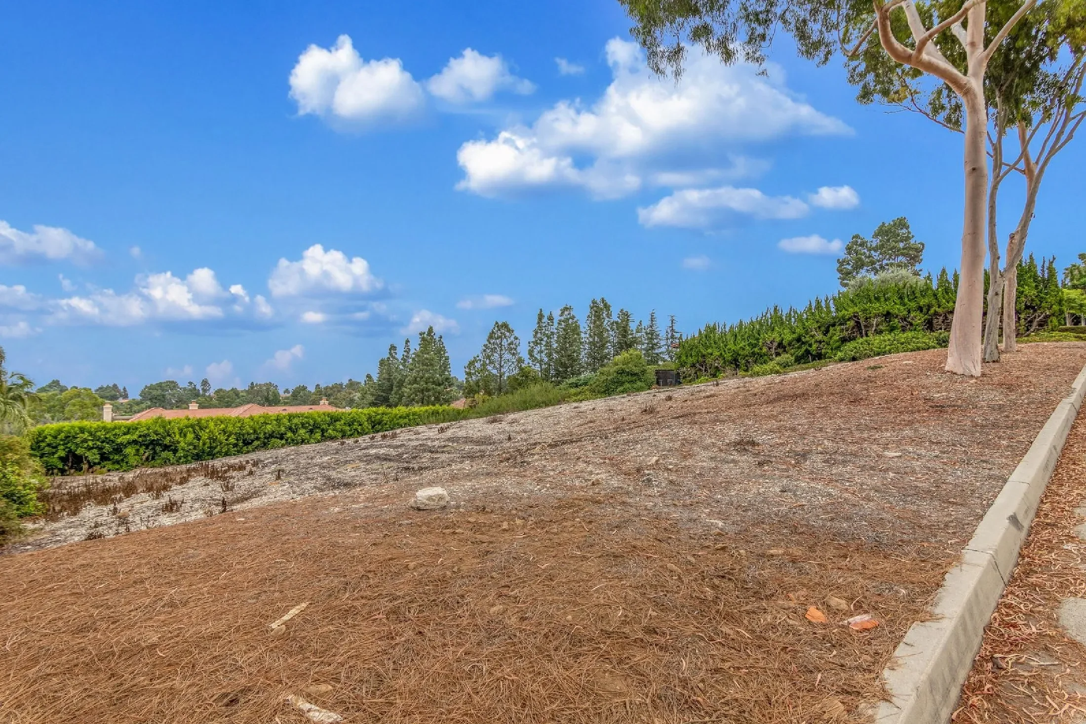 1815 Vía Coronel , Palos Verdes Estates, CA 90274, Palos Verdes Estates, California, United States. - Photo 12