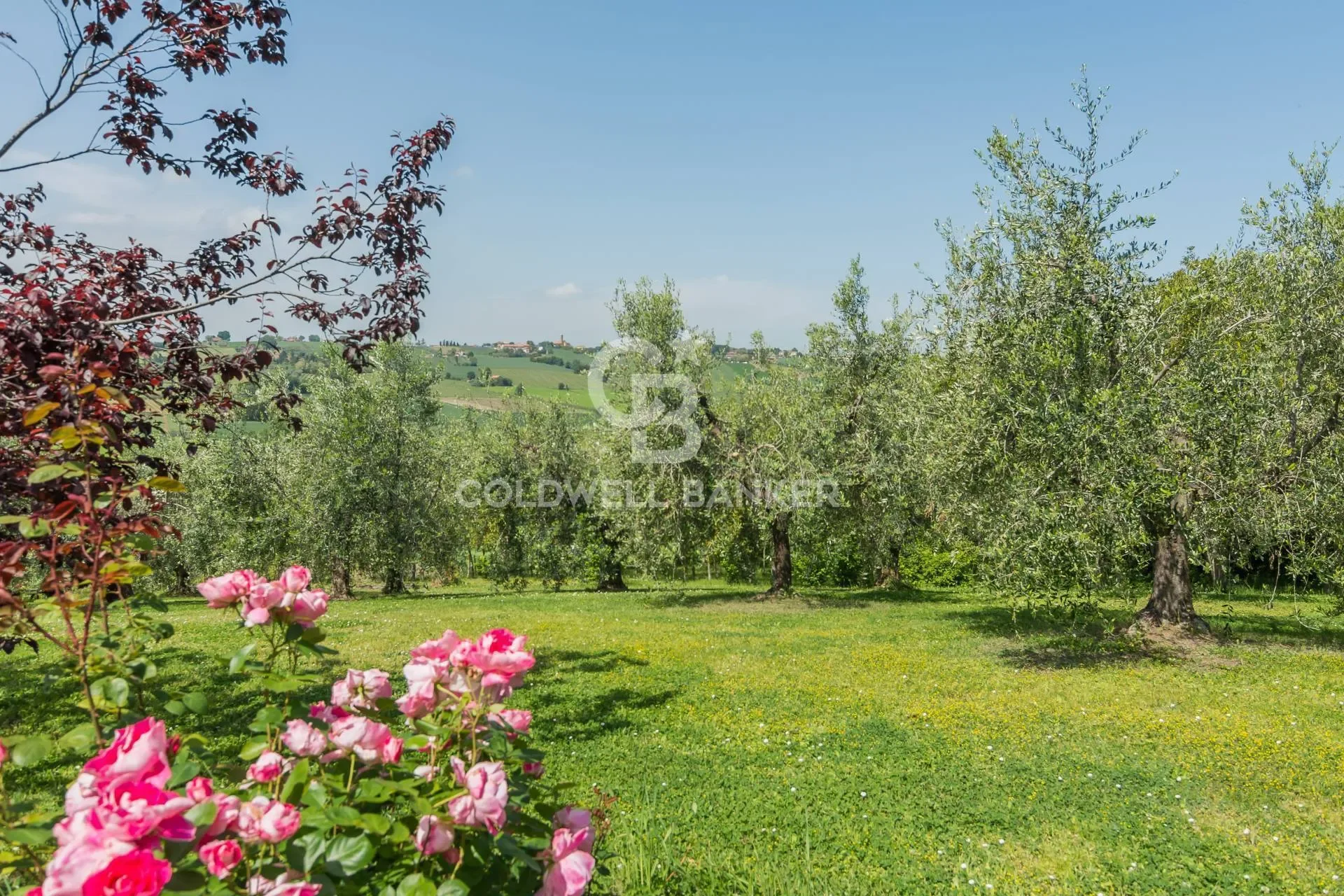 via giardino 26, Castelleale, Emilia-Romagna, Italy. - Photo 9