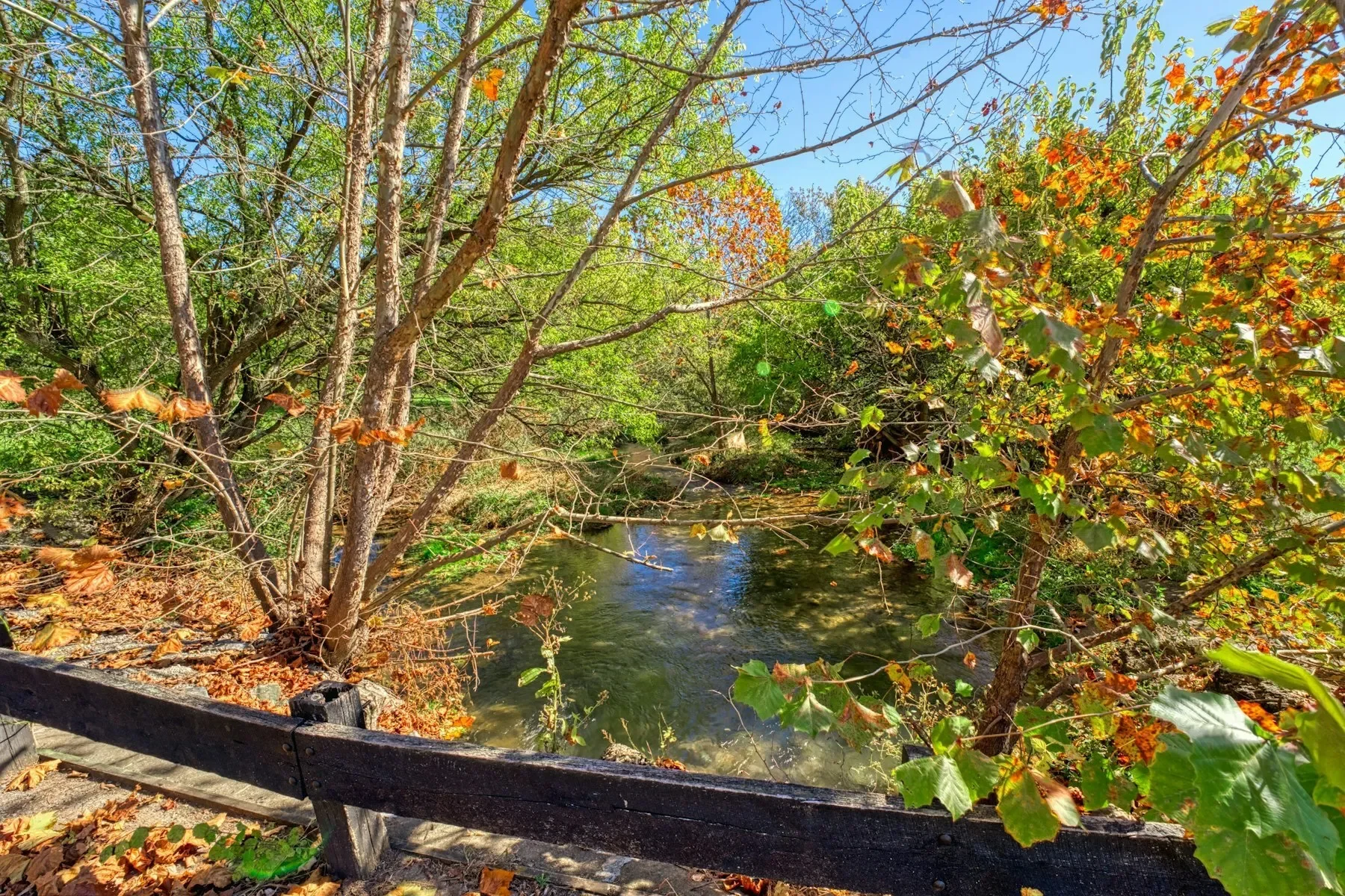17061 Spring Creek Lane , Leesburg, VA 20176, Leesburg, Virginia, United States. - Photo 64