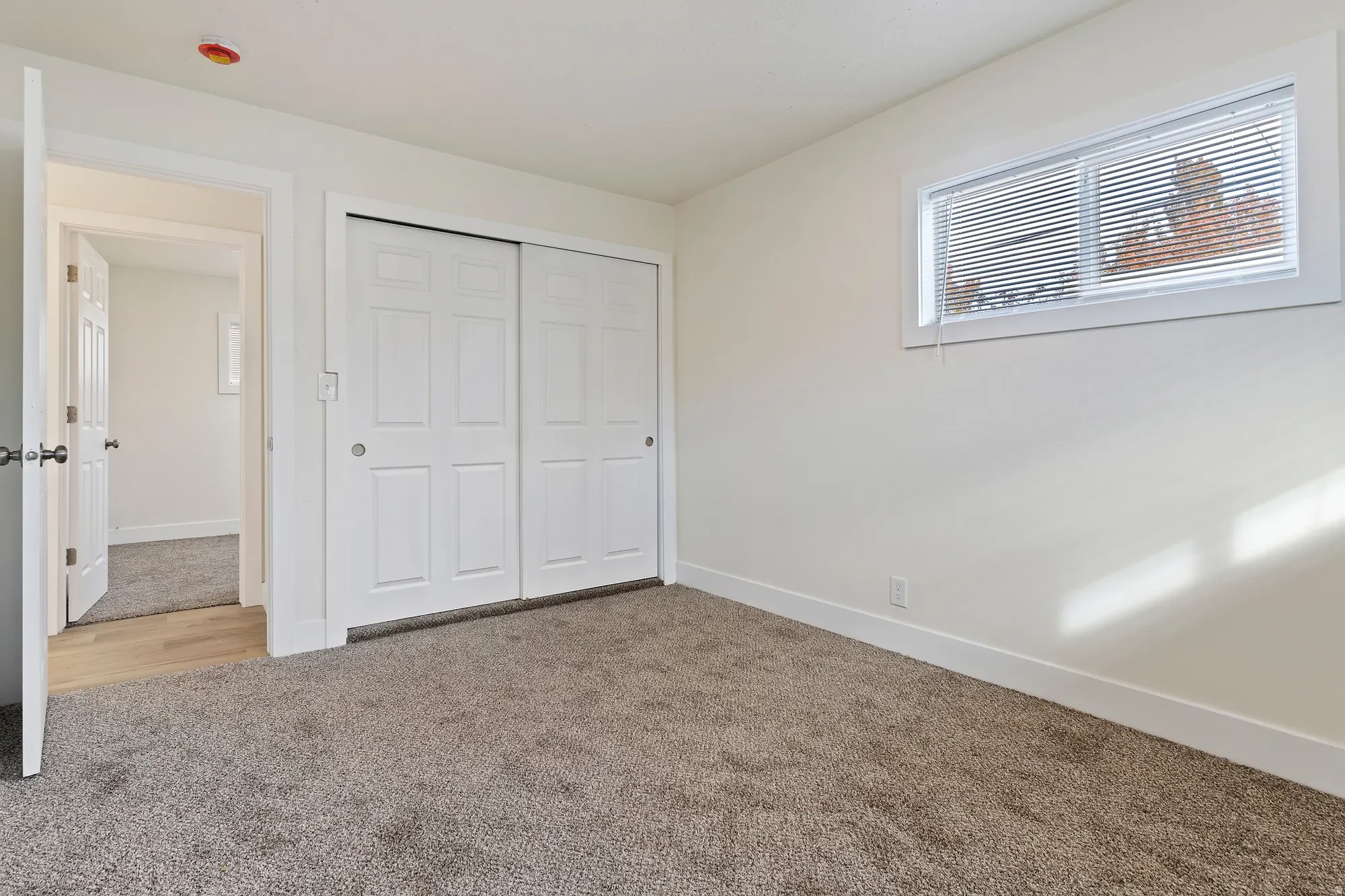 Gallery photo 8