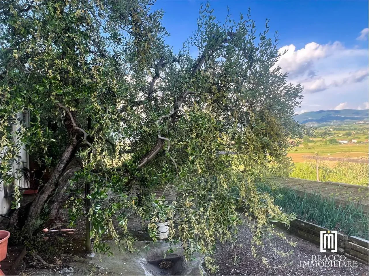 Via Roma, Cerreto Guidi, Tuscany, Italy. - Photo 20