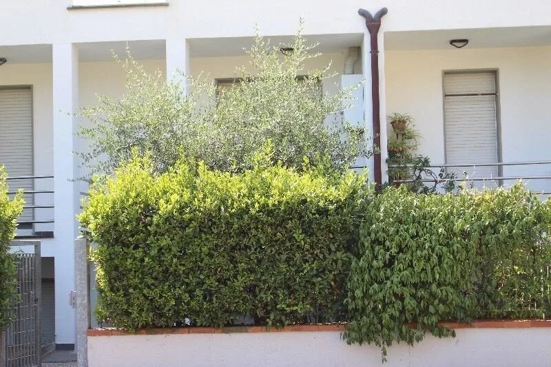Exterior photo 2