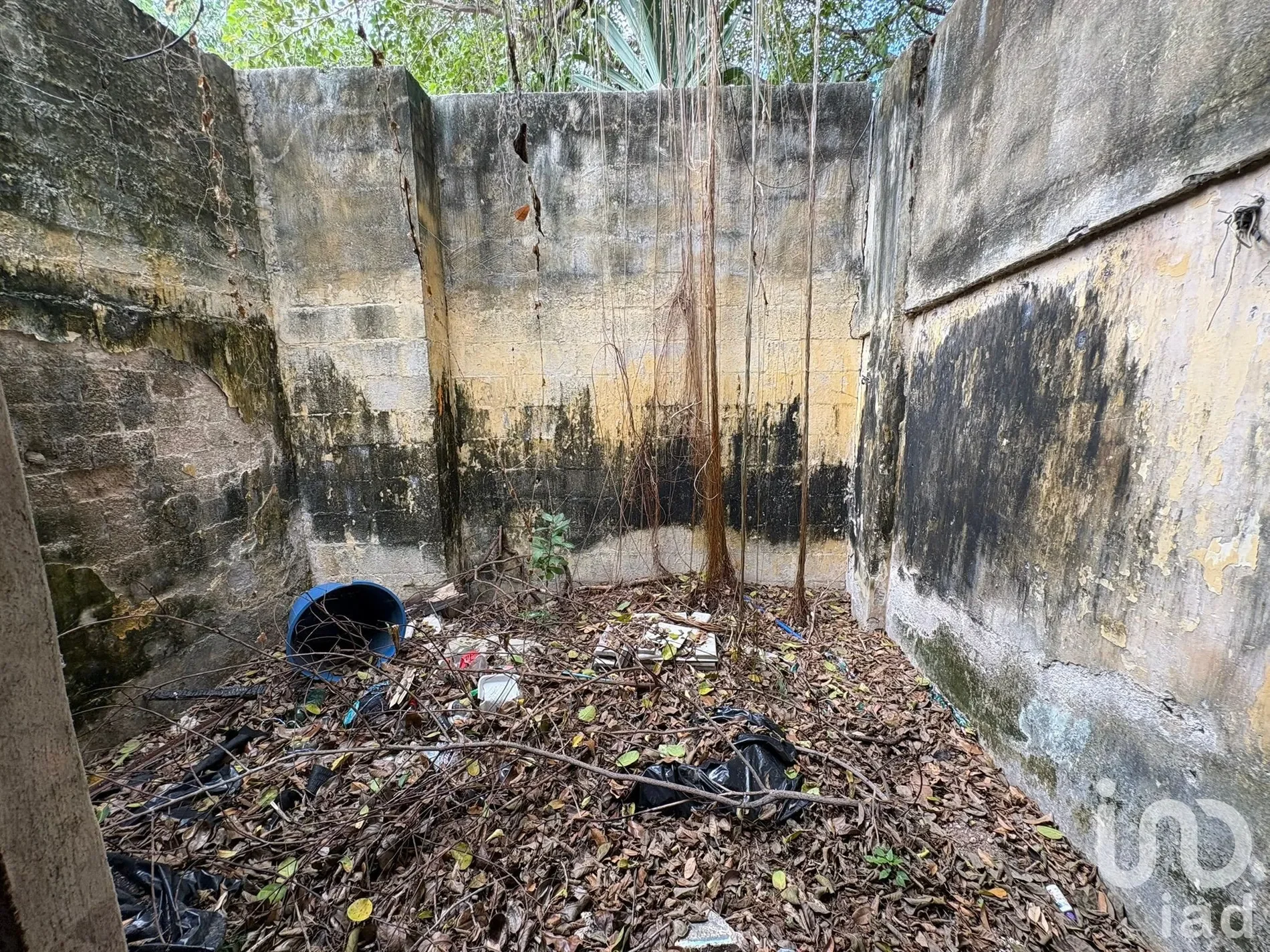 Exterior photo 7