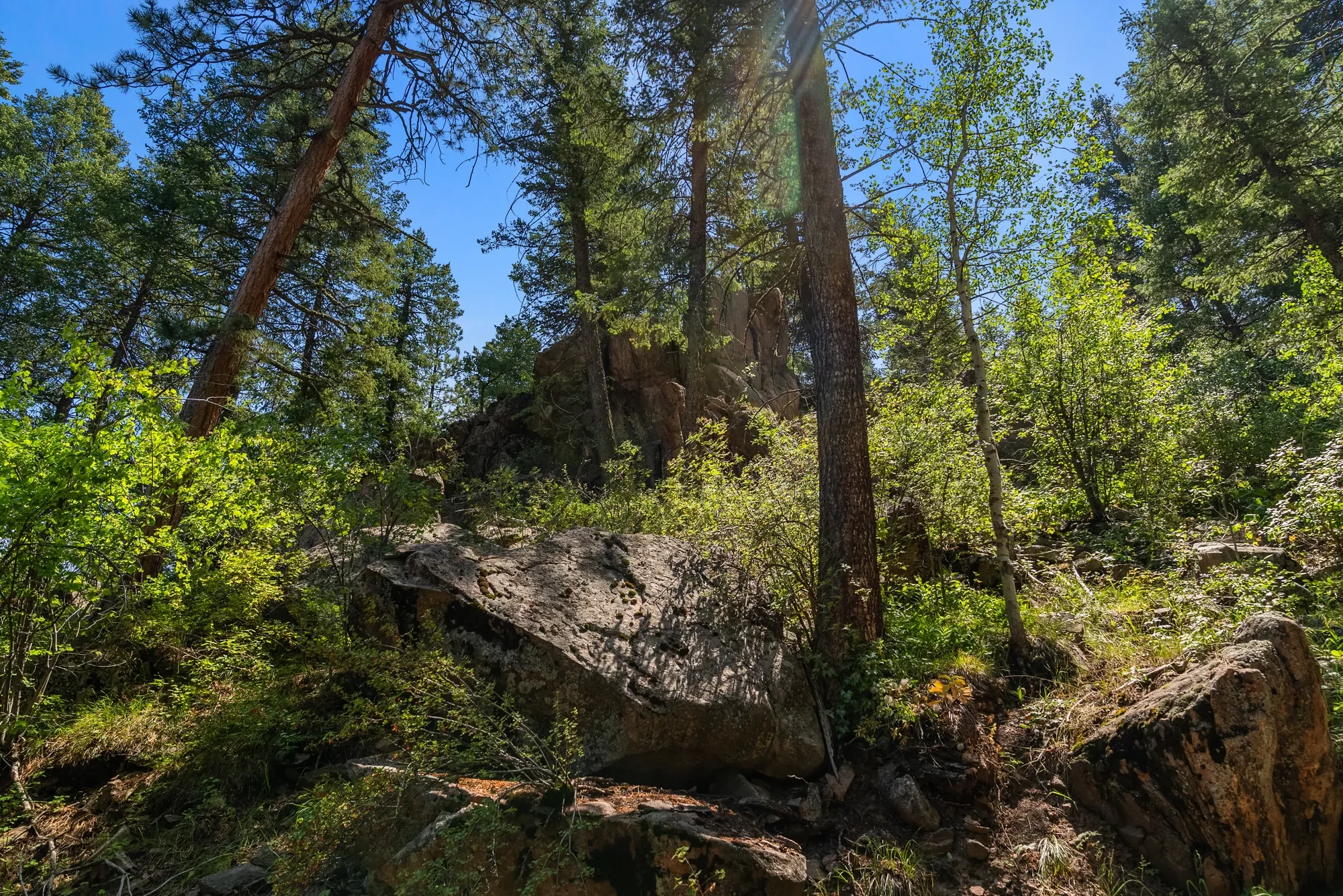12954 Kuehster Road , Littleton, CO 80127, Littleton, Colorado, United States. - Photo 8