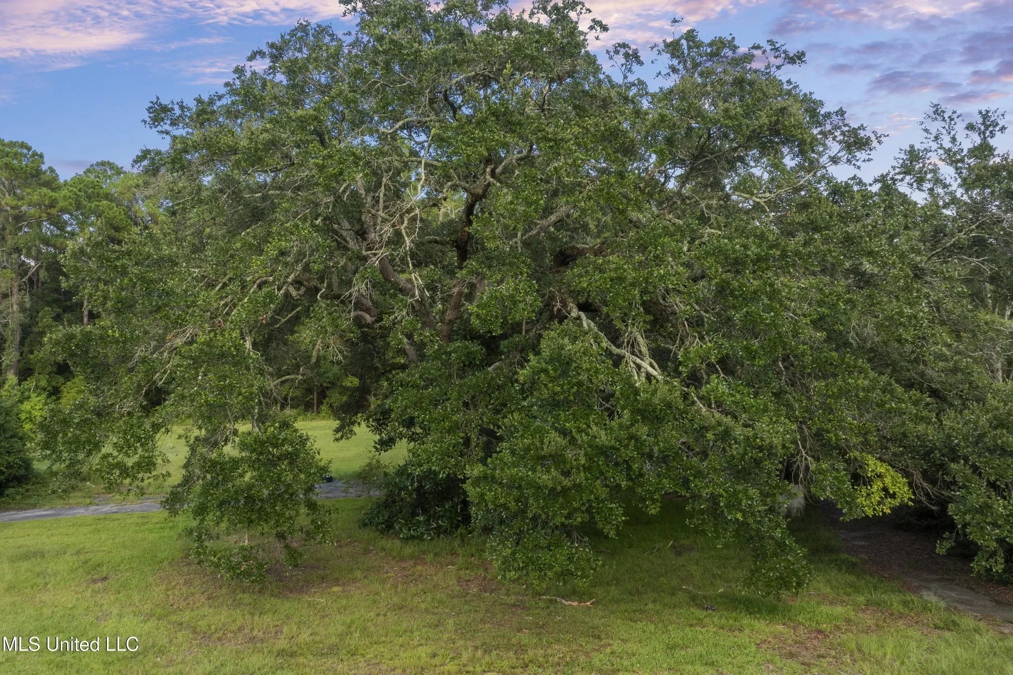 8.13 Acres Dixie Street, Ocean Springs, MS 39564, Ocean Springs, Mississippi, United States. - Photo 17