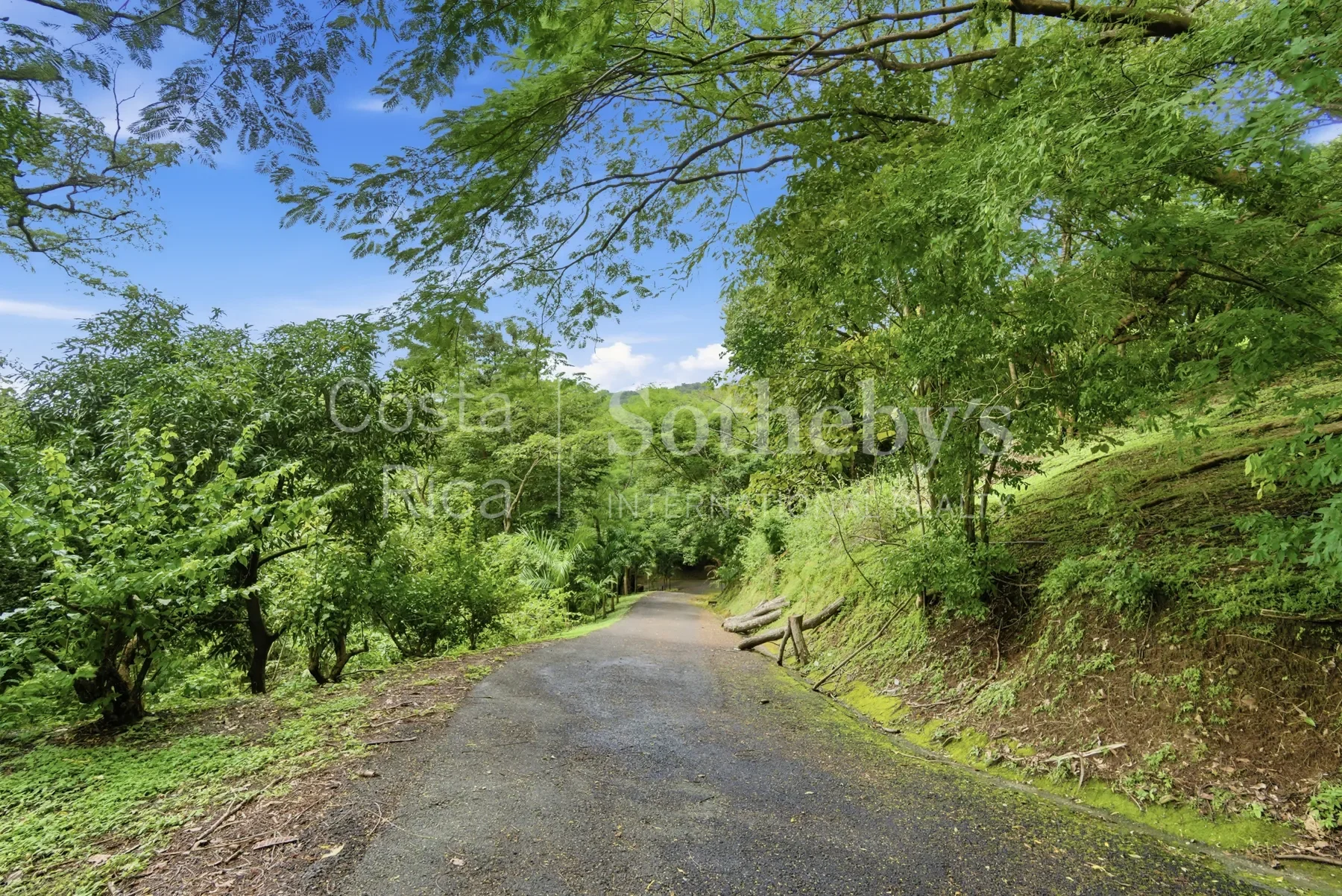 Gallery photo 11