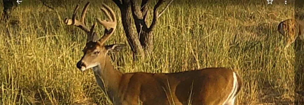 1025 FM 765, Lohn, Texas, United States. - Photo 21