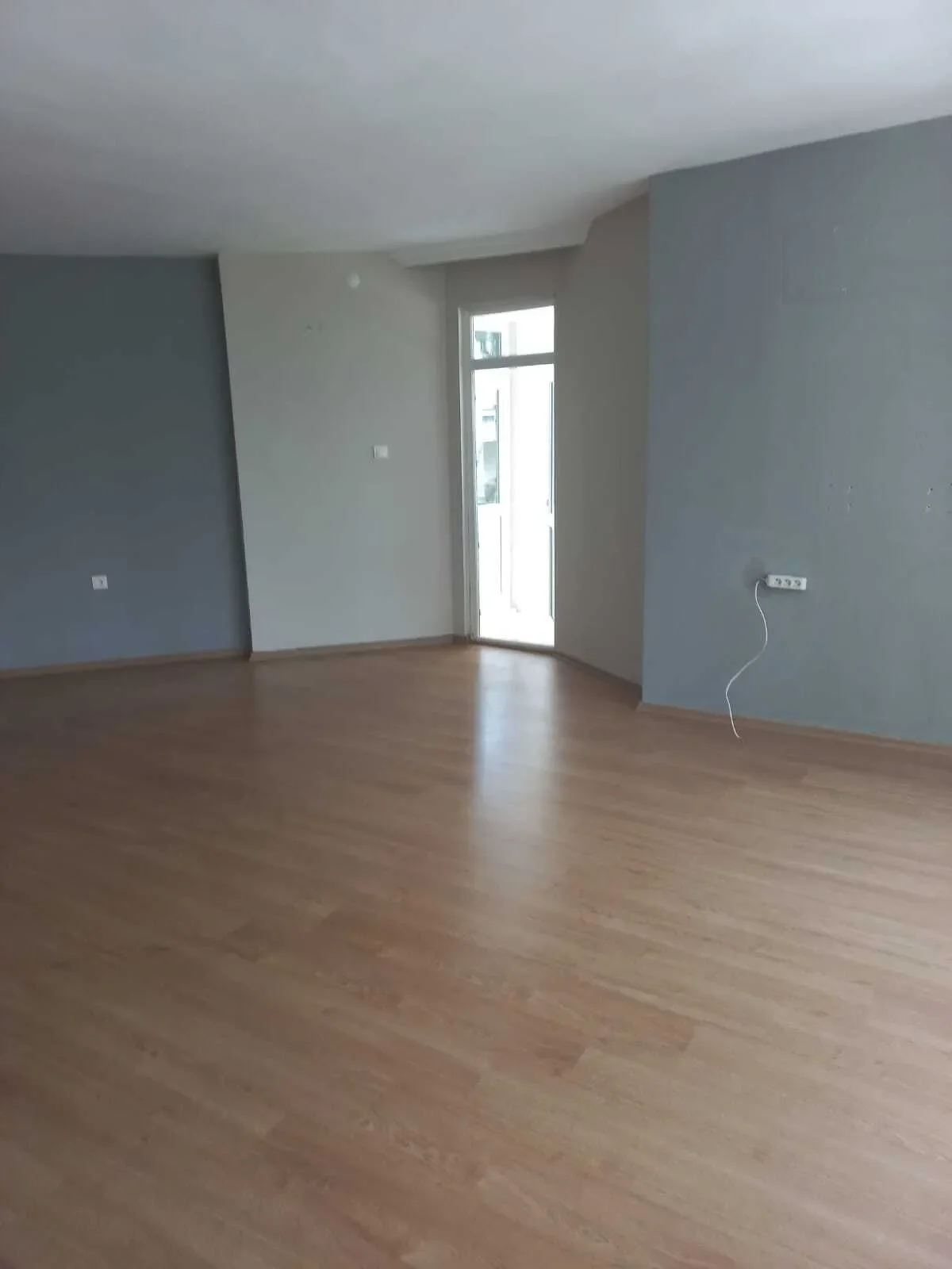 Gallery photo 12