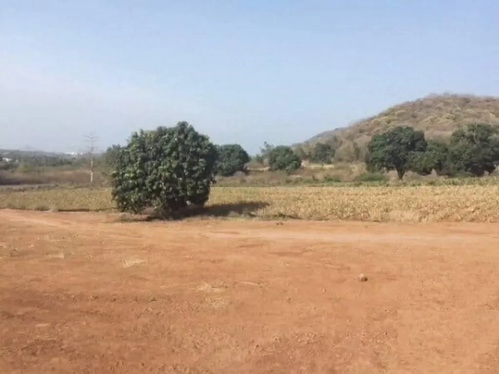 Beautiful Countryside Land with Sea View to build 1, 2 or up to 8 houses