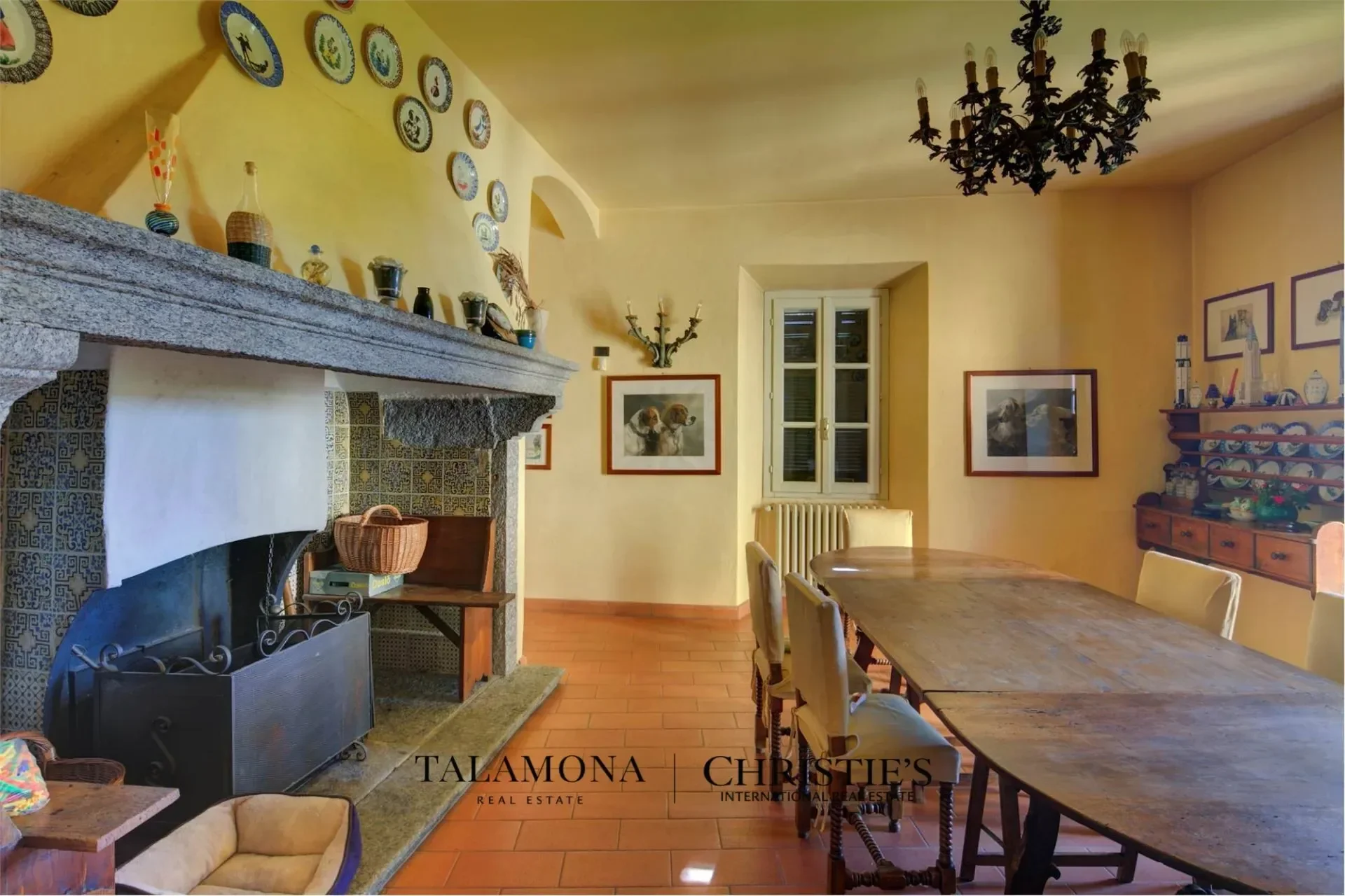 Gallery photo 5