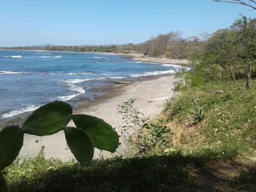 Guanacaste Province, Santa Cruz, Costa Rica, Santa Cruz, Guanacaste Province, Costa Rica. - Photo 2