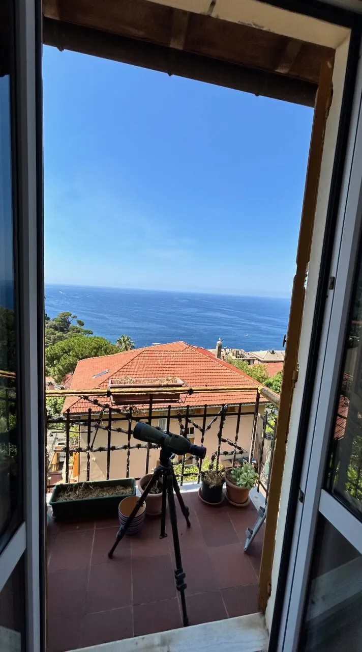 Corso Giuseppe Mazzini, Camogli, Liguria, Italy. - Photo 14
