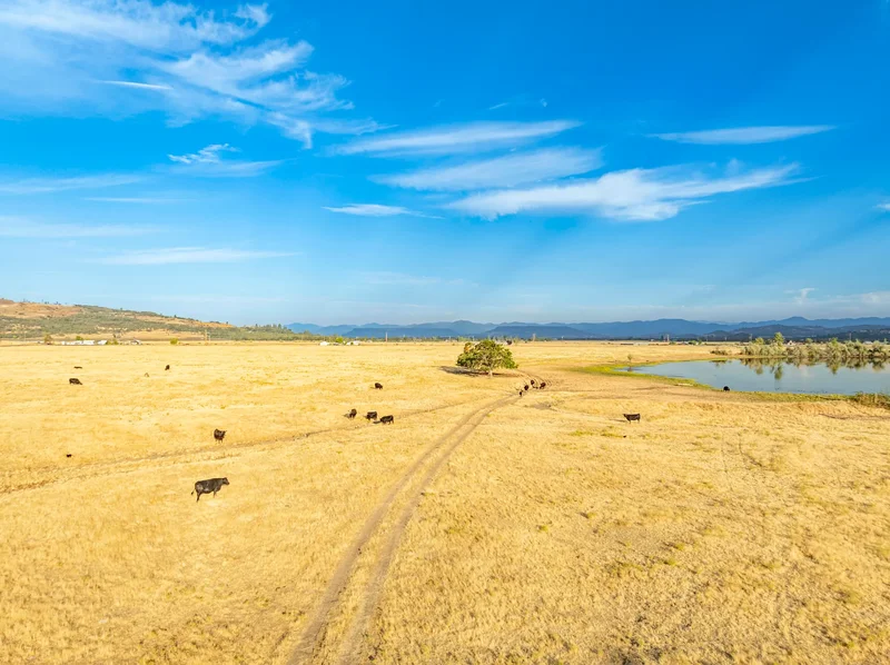 1631 E Antelope, Eagle Point, OR, 97524, USA, Eagle Point, Oregon, United States. - Photo 14