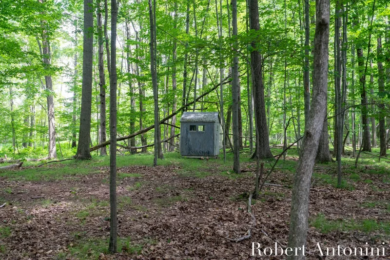 4751 S Johnson Road, Gowen, MI 49326, Greenville, Michigan, United States. - Photo 145