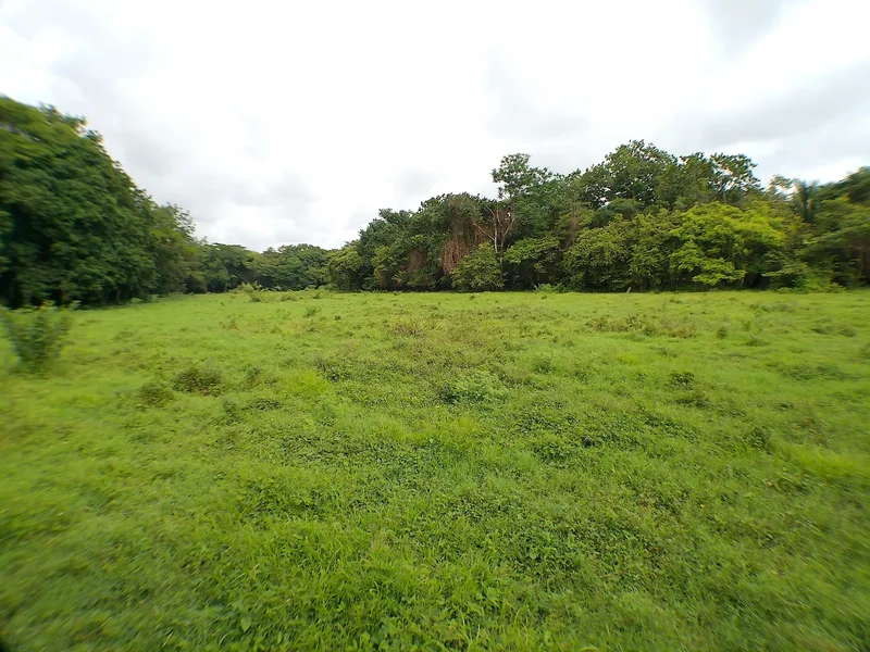 72.4 Hectares of Prime Beachfront Land – Buena Vista