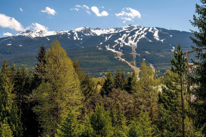 6187 Eagle Drive, Whistler, British Columbia, Canada. - Photo 27